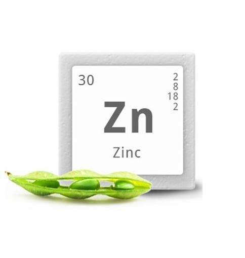 deficiencia de zinc