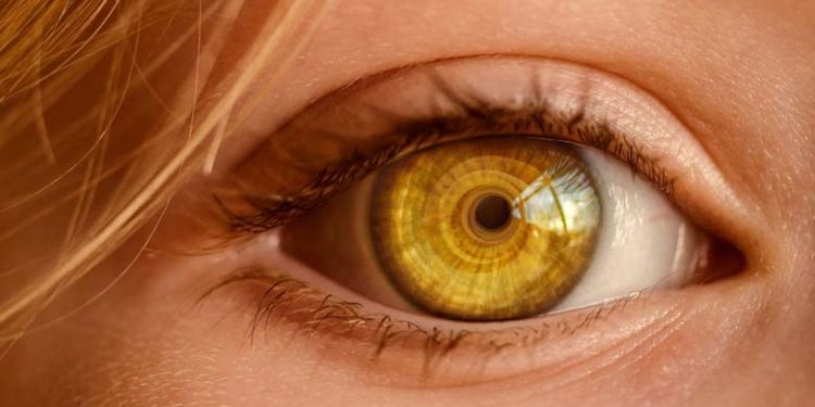 | Miosis estrechando pupila-pupille miosis isocórica miosis-miosis azul pupilal
