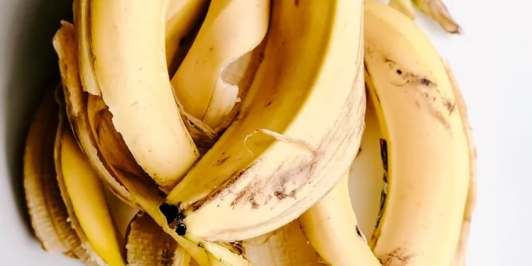 cáscara de plátano es un súper fertilizante natural